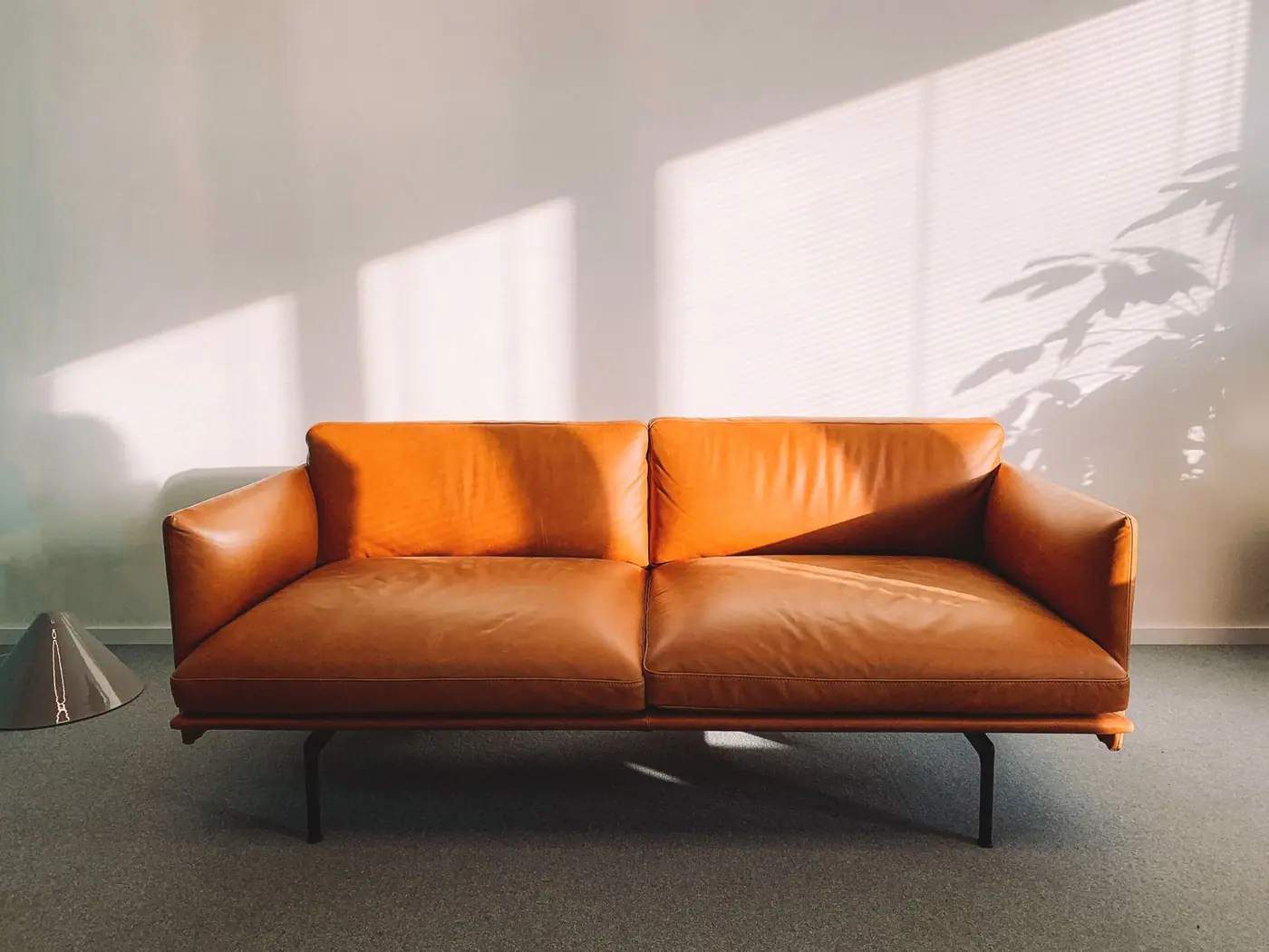 Tan leather two-seat sofa in strong window light
